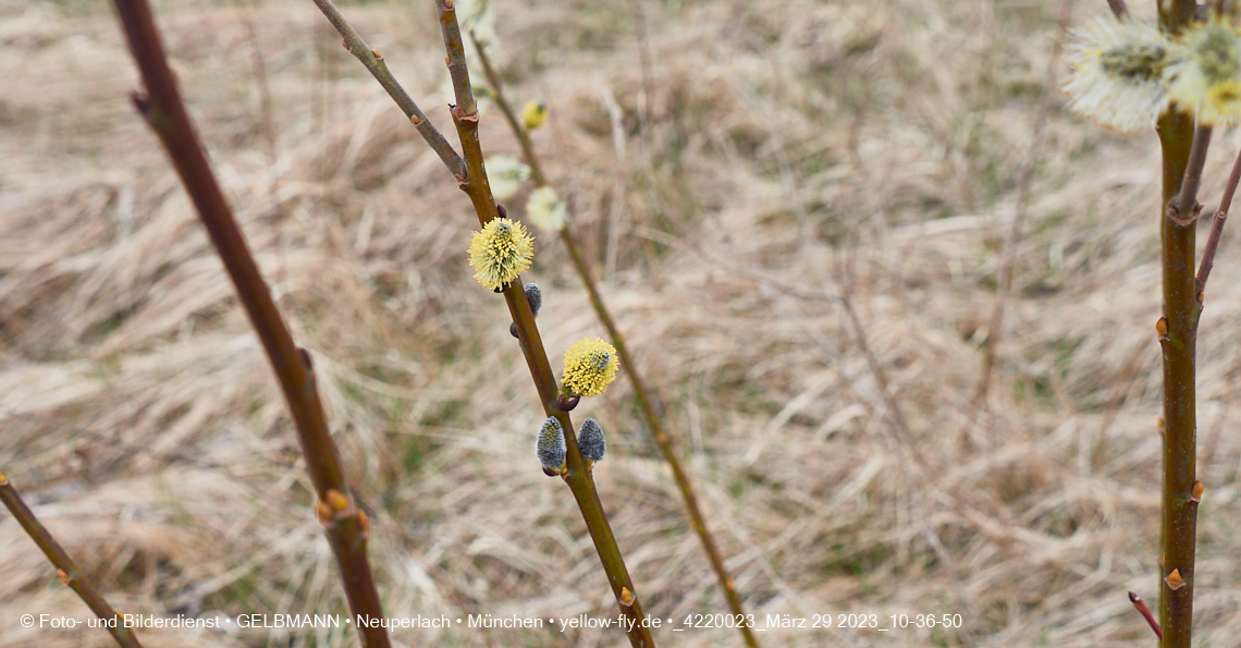 29.03.2023 - Baustelle REVO und Umgebung in Neuperlach